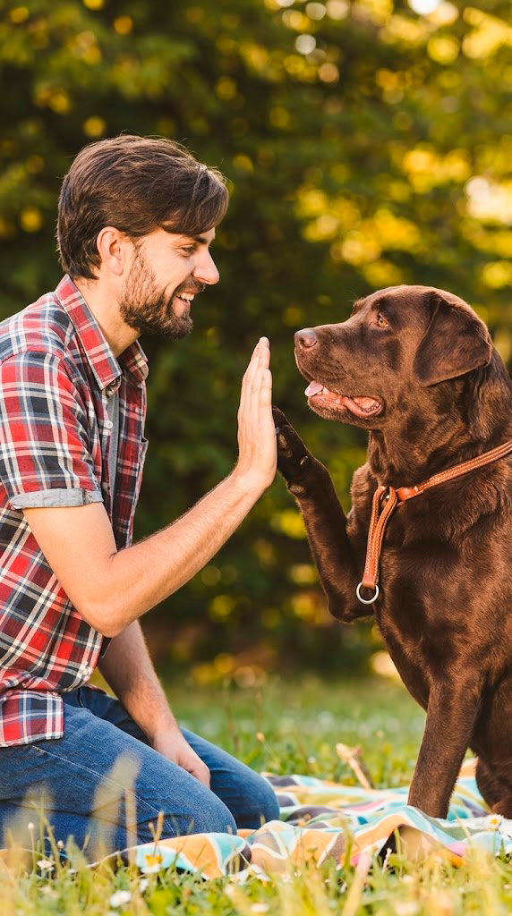 Vinculo y confianza entre dueno y perro