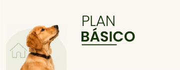 Plan Básico