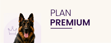 Plan Premium
